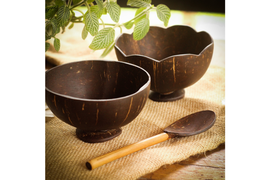 Cocoshell Bowls and Spoons