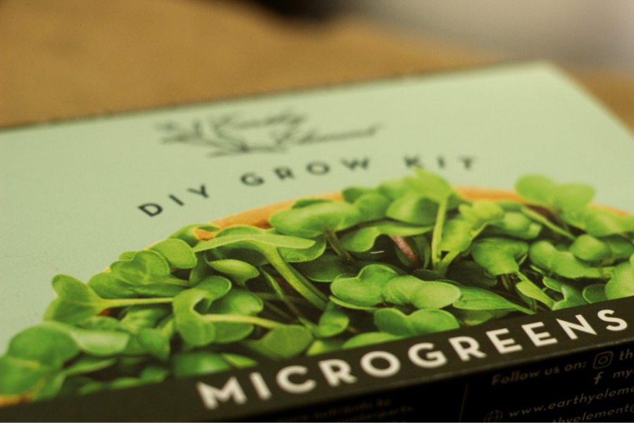 Microgreens DIY Kit